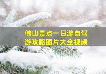 佛山景点一日游自驾游攻略图片大全视频