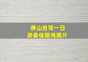 佛山自驾一日游最佳路线图片