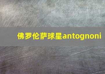 佛罗伦萨球星antognoni