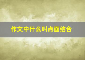 作文中什么叫点面结合