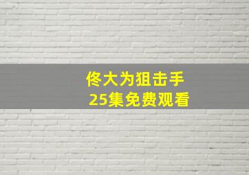 佟大为狙击手25集免费观看