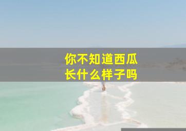 你不知道西瓜长什么样子吗