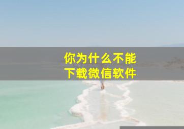 你为什么不能下载微信软件