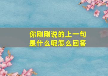 你刚刚说的上一句是什么呢怎么回答