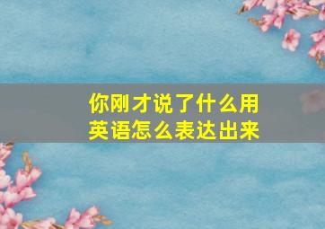 你刚才说了什么用英语怎么表达出来