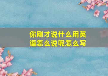 你刚才说什么用英语怎么说呢怎么写