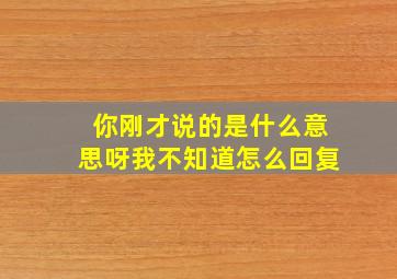 你刚才说的是什么意思呀我不知道怎么回复