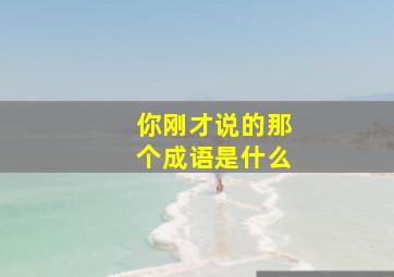 你刚才说的那个成语是什么