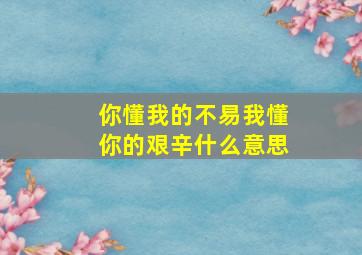 你懂我的不易我懂你的艰辛什么意思