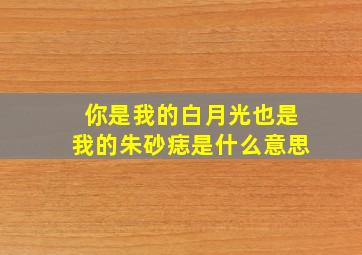 你是我的白月光也是我的朱砂痣是什么意思