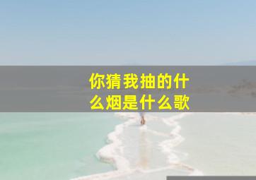 你猜我抽的什么烟是什么歌