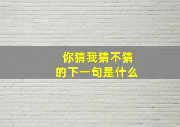 你猜我猜不猜的下一句是什么