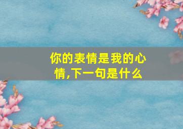 你的表情是我的心情,下一句是什么