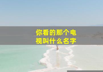 你看的那个电视叫什么名字