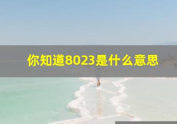 你知道8023是什么意思