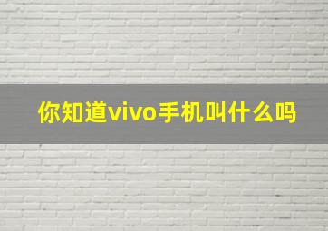 你知道vivo手机叫什么吗