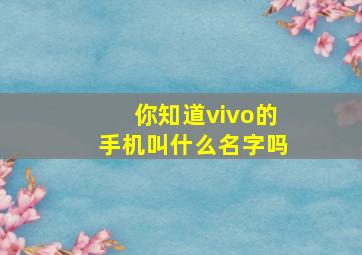 你知道vivo的手机叫什么名字吗