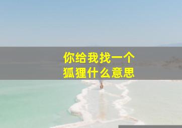 你给我找一个狐狸什么意思