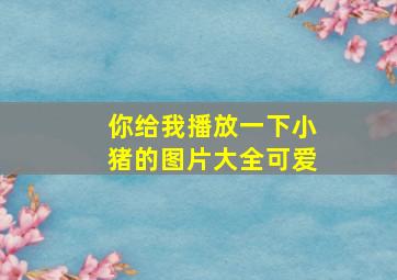 你给我播放一下小猪的图片大全可爱