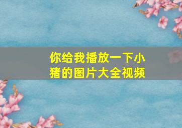 你给我播放一下小猪的图片大全视频