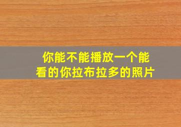 你能不能播放一个能看的你拉布拉多的照片