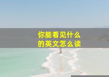 你能看见什么的英文怎么读