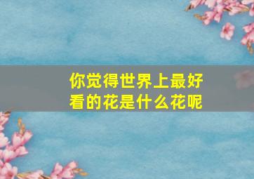 你觉得世界上最好看的花是什么花呢