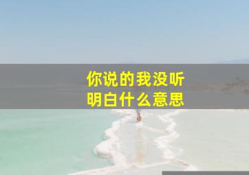 你说的我没听明白什么意思