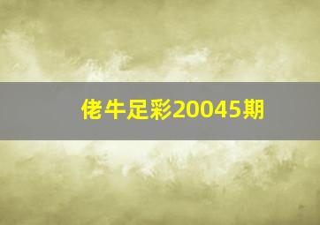 佬牛足彩20045期