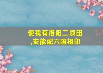 使我有洛阳二顷田,安能配六国相印