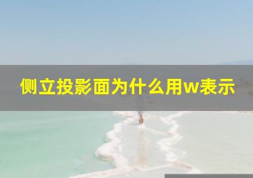 侧立投影面为什么用w表示