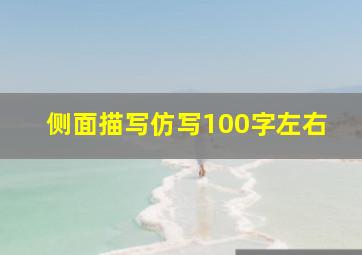 侧面描写仿写100字左右