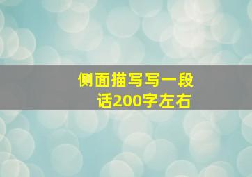 侧面描写写一段话200字左右