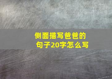 侧面描写爸爸的句子20字怎么写