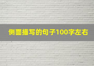 侧面描写的句子100字左右