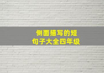 侧面描写的短句子大全四年级