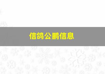 信鸽公鹏信息