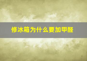 修冰箱为什么要加甲醛