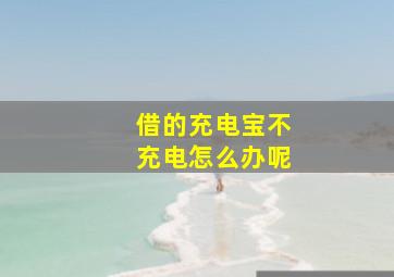 借的充电宝不充电怎么办呢