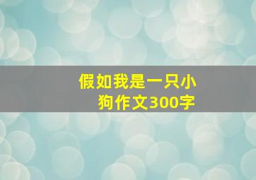 假如我是一只小狗作文300字