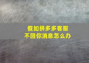 假如拼多多客服不回你消息怎么办