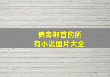 偏旁部首的所有小说图片大全