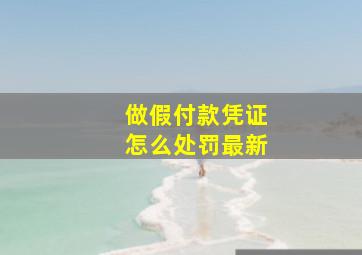 做假付款凭证怎么处罚最新