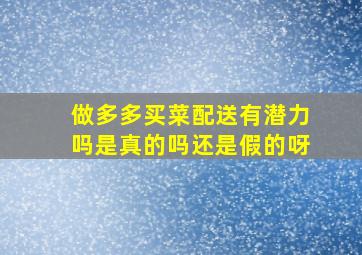 做多多买菜配送有潜力吗是真的吗还是假的呀