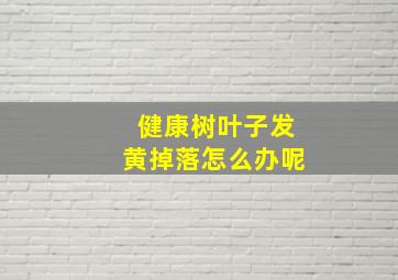 健康树叶子发黄掉落怎么办呢