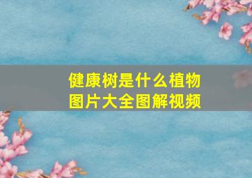 健康树是什么植物图片大全图解视频