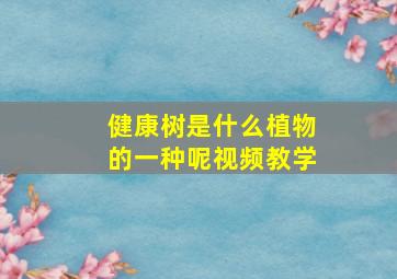 健康树是什么植物的一种呢视频教学