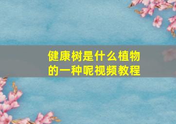 健康树是什么植物的一种呢视频教程