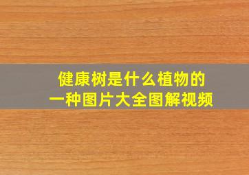 健康树是什么植物的一种图片大全图解视频