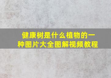 健康树是什么植物的一种图片大全图解视频教程